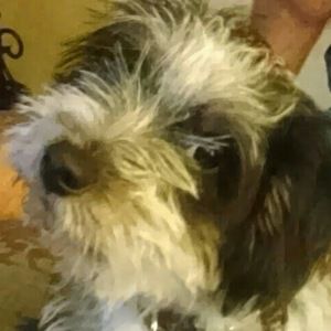 Meet your Posher, Lori